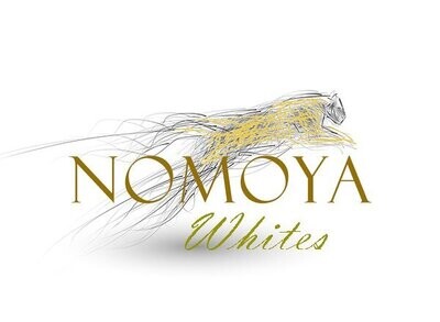 Nomoya Whites