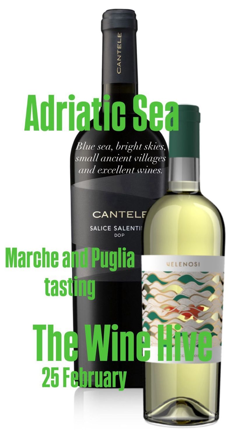 Italian tasting - 25 February Adriatic sea wines