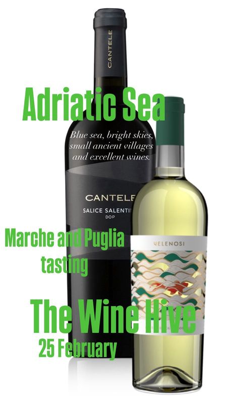 Italian tasting - 25 February Adriatic sea wines