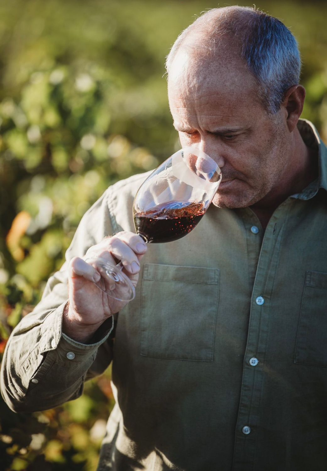 Survivor Wines, Pierre Wahl 23 April 2026 Survivor Wines, Pierre Wahl 23 April 2026