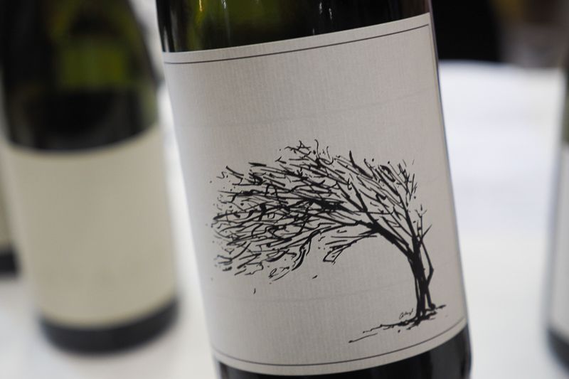 Duncan Savage Wine Tasting, 30 September