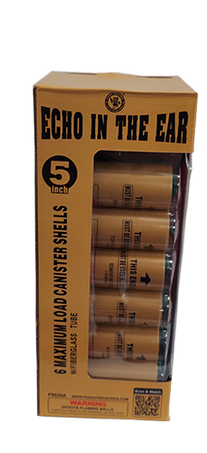 Echo in the Ear