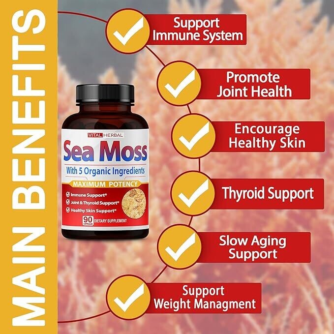Health - Sea Moss Capsules