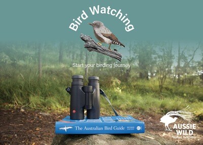 Bird Watching Course