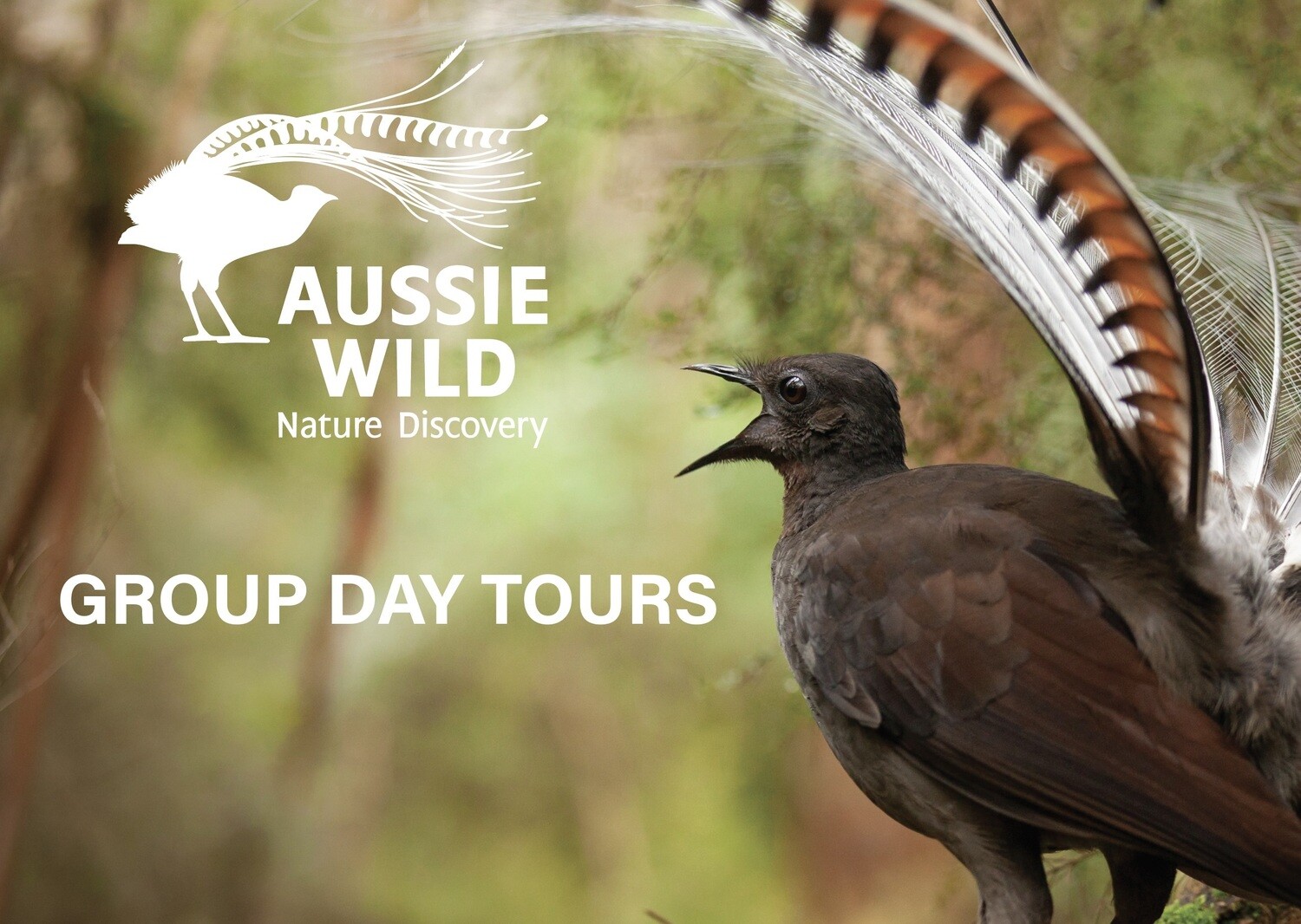 Group Day Tours