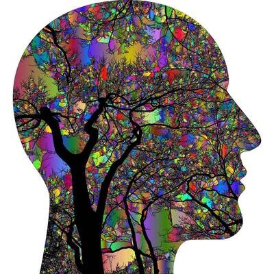 Psychedelic Lawyers
