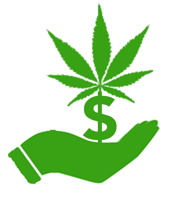 Top 200 Cannabis Accountants 2025
