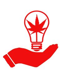 Cannabis Consultants
