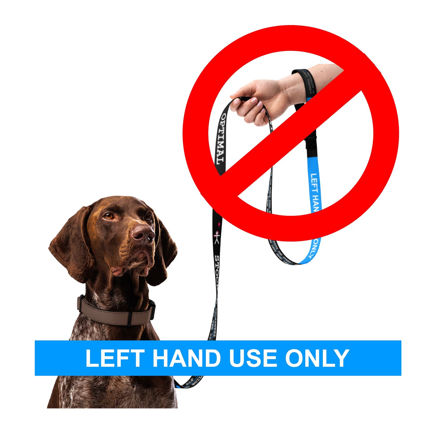 Left Handed Dog Leash - RUN:/  Dual Brain Mode / SOUTH PAW SPEED with our left handed leash.