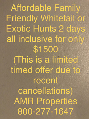 Affordable, Family Friendly - Management Whitetail or Exotic Hunt in the Texas Hill Country - 2 day 2 night all inclusive For Only 