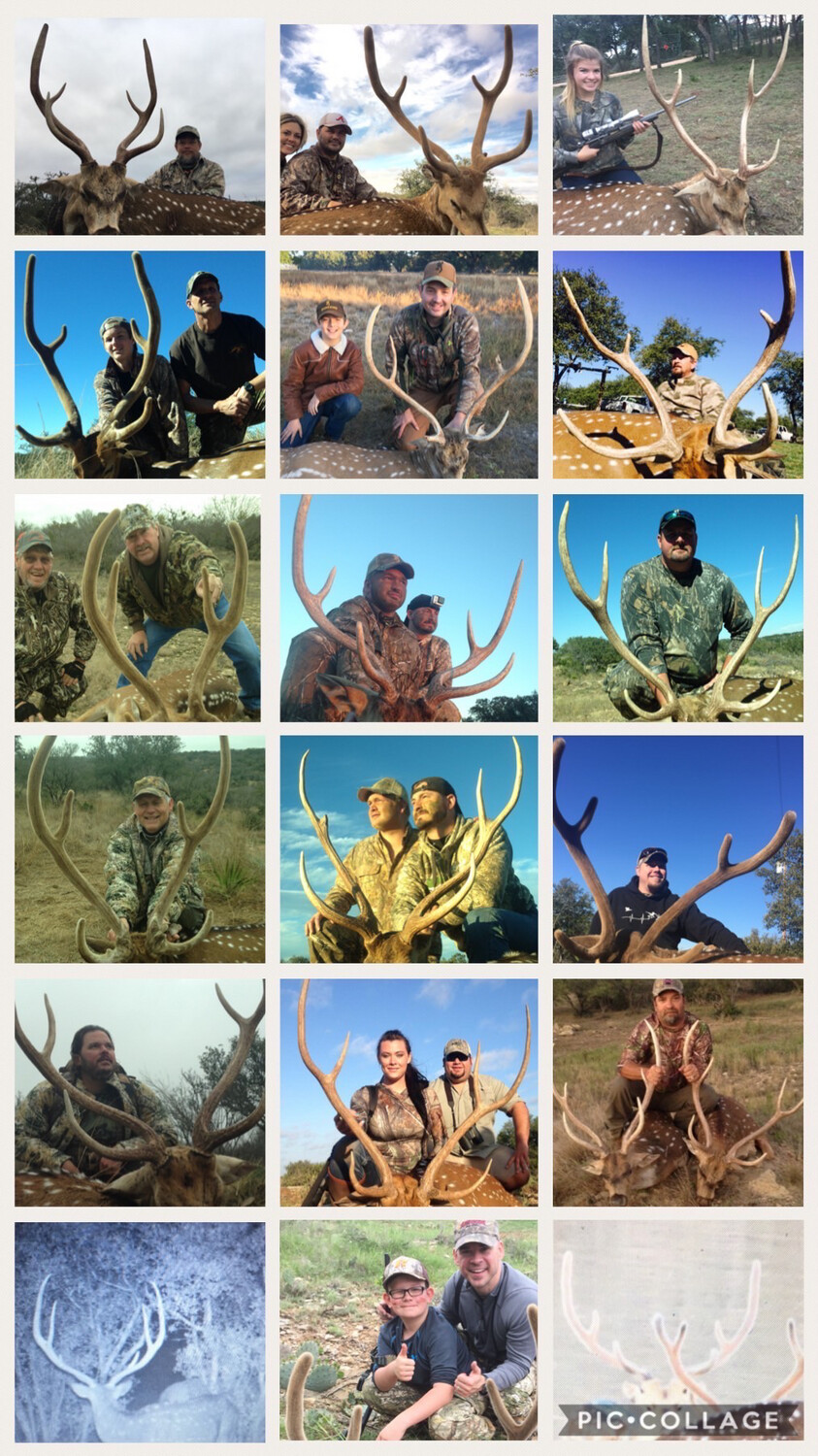 Now Booking : Affordable Family Friendly- 3 Day 2 Night All Inclusive Hunt Near Junction, Texas. Your Choice: Whitetail Or Exotics Plus Pigs, Predators And Fishing!