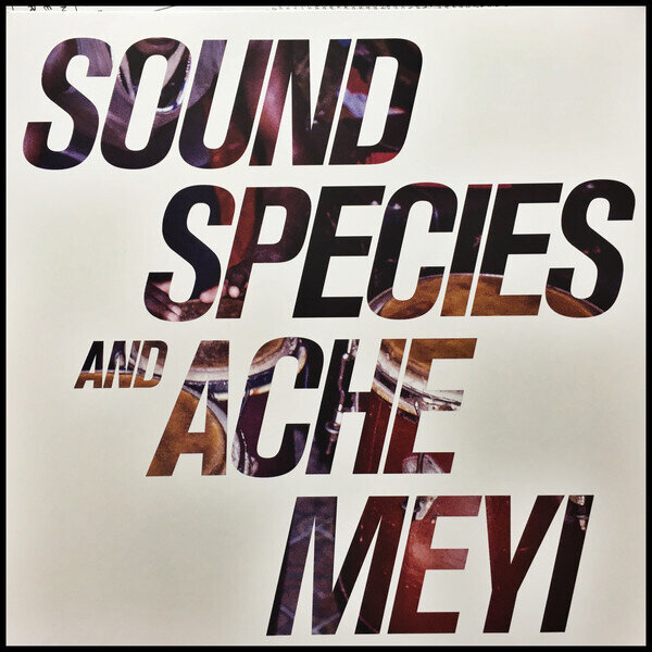 LP: Soundspecies & Ache — Meyi 
