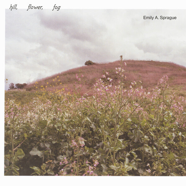 LP: Emily A. Sprague — Hill, Flower, Fog 