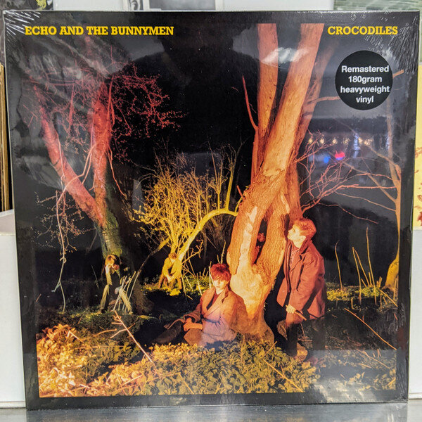 LP: Echo And The Bunnymen — Crocodiles