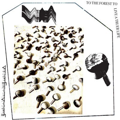 LP: YoshimiOizumikiYoshiduO — To The Forest To Live A Truer Life