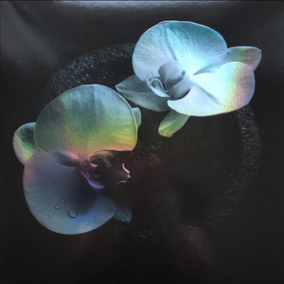 LP: Mike Patton & Jean-Claude Vannier — Corpse Flower