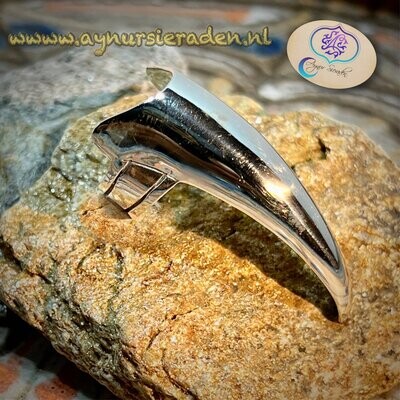 Nagel ring