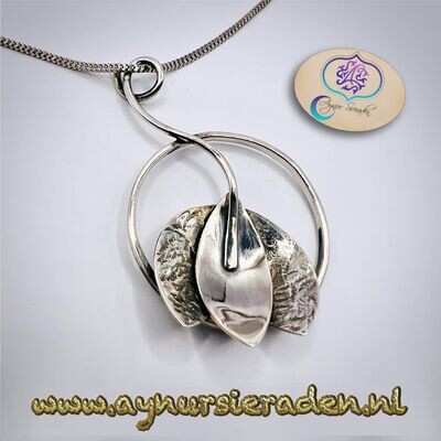 Tulp