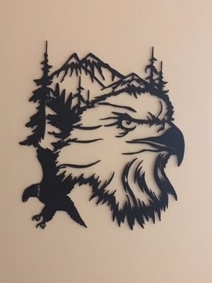 Eagle In The Mountain