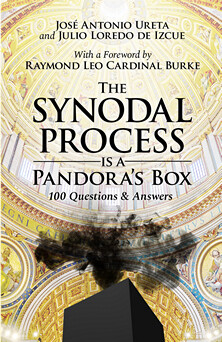 The Synodal Process Is A Pandora's Box: 100 Questions and Answers - eBook (Free)