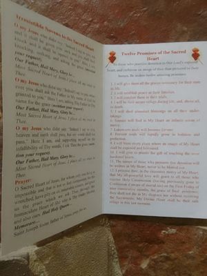 The Sacred Heart of Jesus - Prayer Card