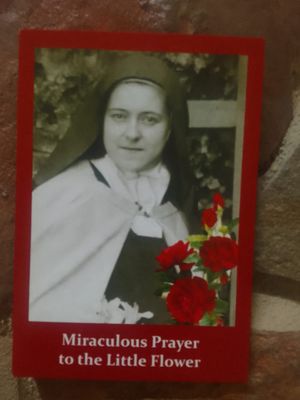 Miraculous  prayer to St Therese the Little Flower -Prayer Card