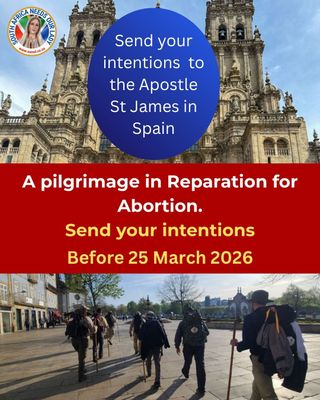 Donation - St James Camino Pilgrimage