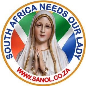 SANOL License disc sticker