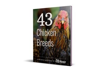 43 Chicken Breeds (eBook)