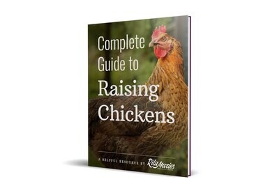 Complete Guide To Raising Chickens (eBook)