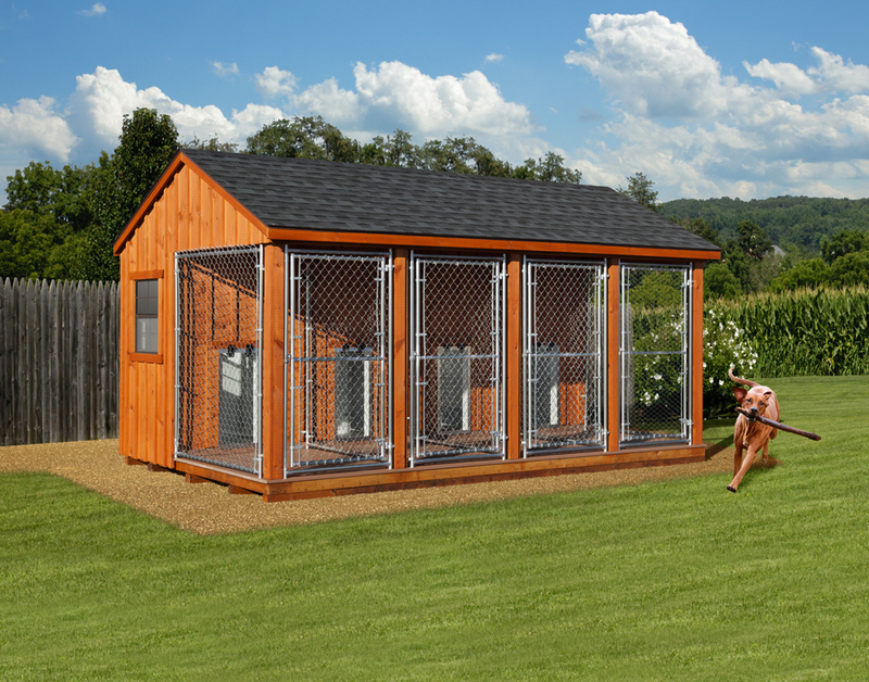 10x16 4 Box Dog Keenel