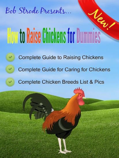 How to Raise Chickens for Dummies (ebook)