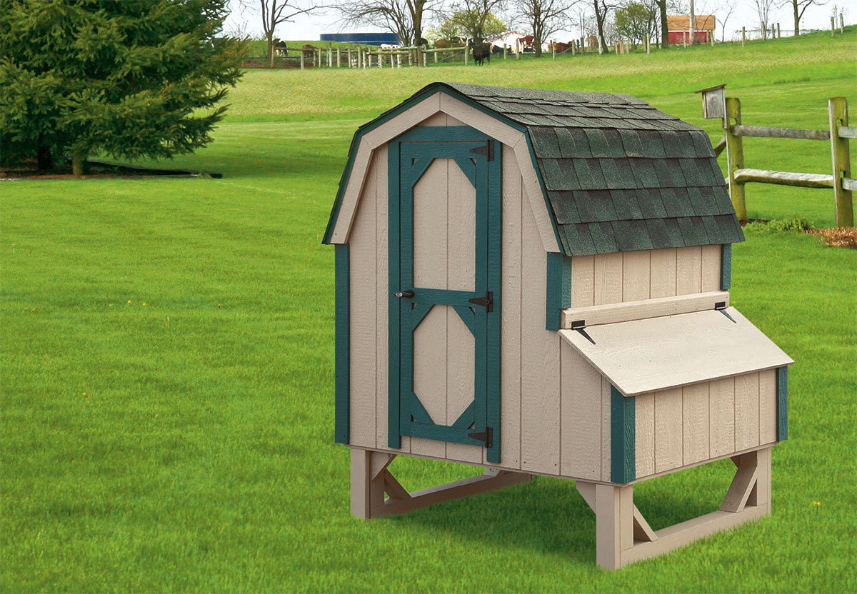 4x4 Dutch Style Chicken Coop with Wood Siding and Cedar STain