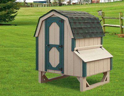 Chicken Coops for 6 Chickens