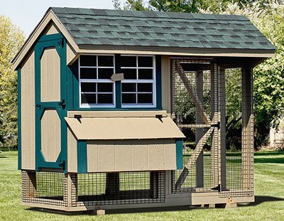 Chicken Coops for 10 Chickens