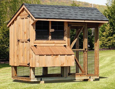 Large Chicken Coops for 10 Chickens