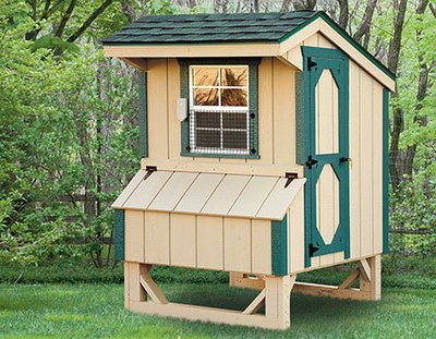Chicken Coops for 8 Chickens