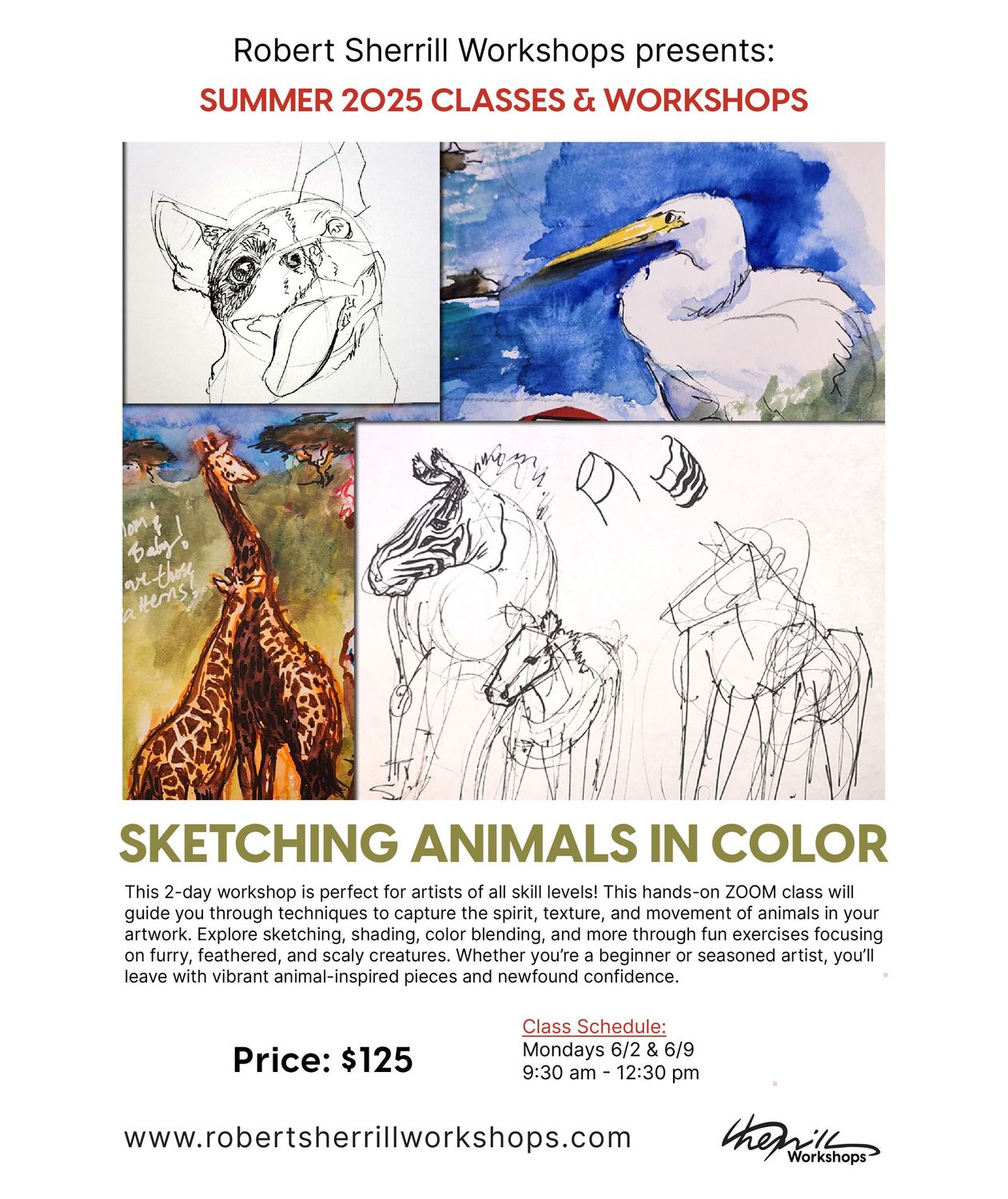Sketching Animals in Color