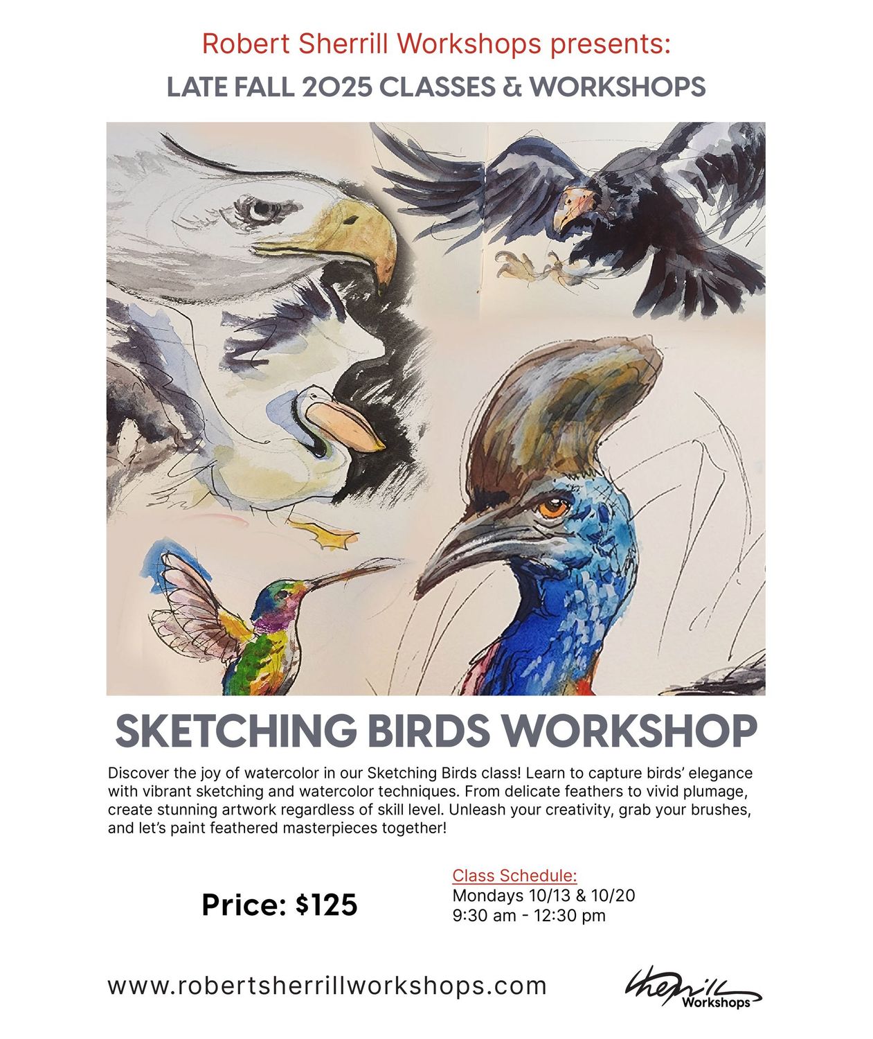 Sketching Birds Workshop