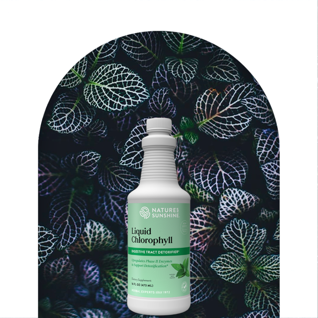 Nature Sunshine Chlorophyll, Liquid 32oz