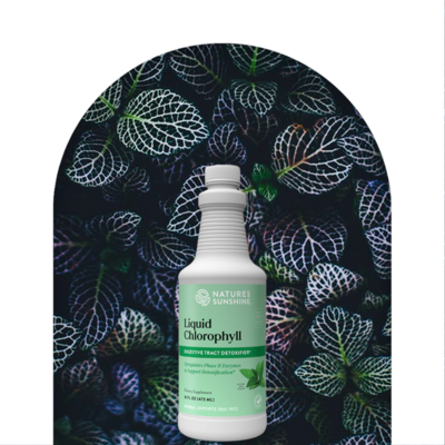 Nature Sunshine Chlorophyll, Liquid 32oz