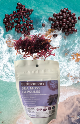 HerbtoBody Elderberry Sea Moss, 60 ct, Capsules, Organic