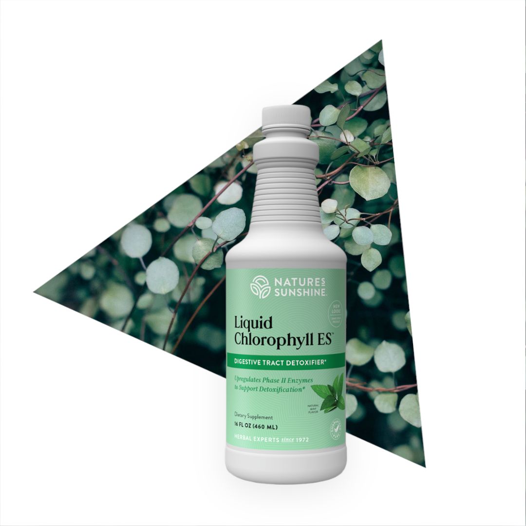 Nature Sunshine Chlorophyll, Liquid 16oz Extra Strength