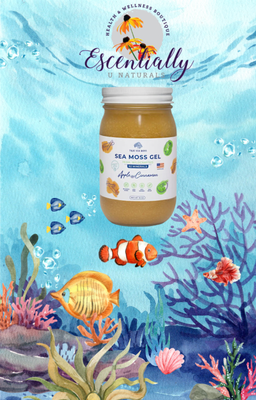 Apple &amp; Cinnamon True  Sea Moss Gel, Irish, Wildcrafted, 16oz