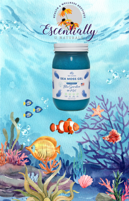 Blue Spirulina &amp; Mint True  Sea Moss Gel, Irish, Wildcrafted, 16oz
