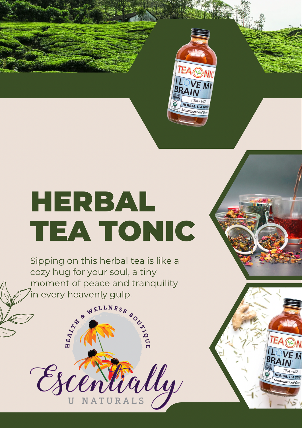 Teaonic I Love My Adrenals Herbal Tea Tonic, Cinnamon, Ginger, Clove, 8 oz (240ml) Stress Relief
