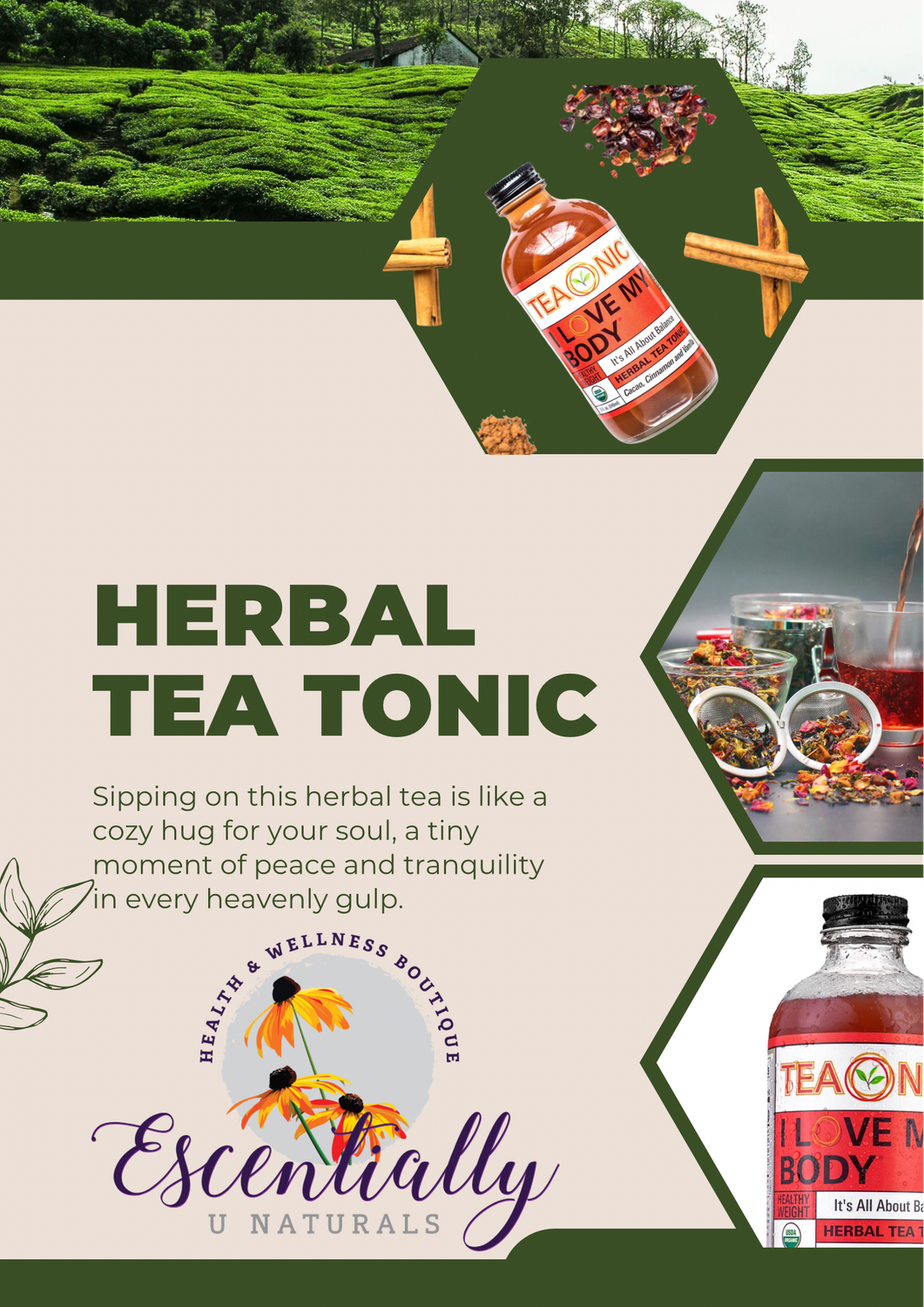 Teaonic I Love My Body Herbal Tea Tonic, Cacao+Cinnamon+Vanilla, 8 oz (240ml) Healthy Weight