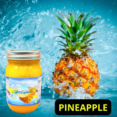 Pineapple Sea Moss Gel, 16oz