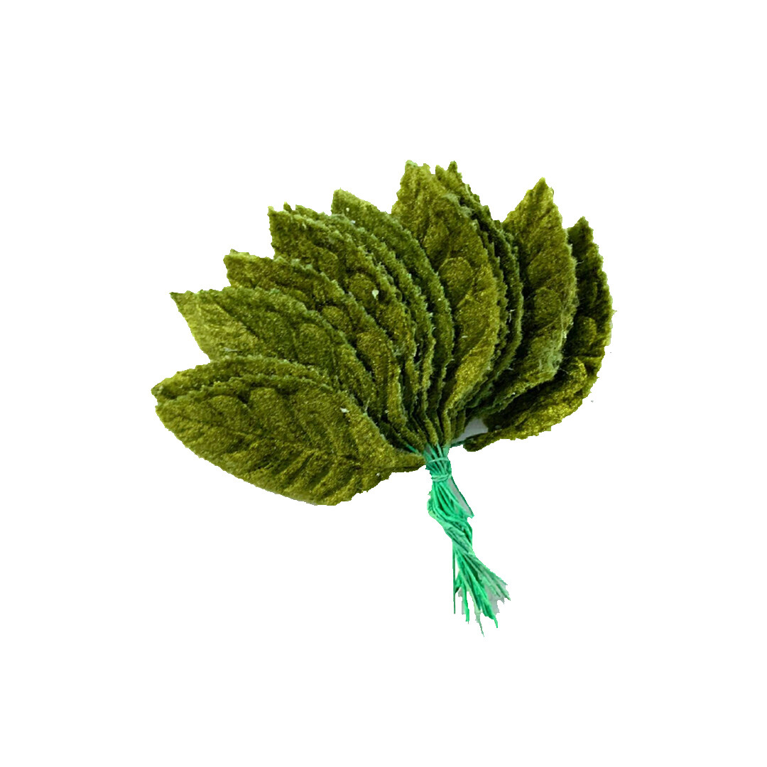 HOJA TERC. MOD. 14 C/20