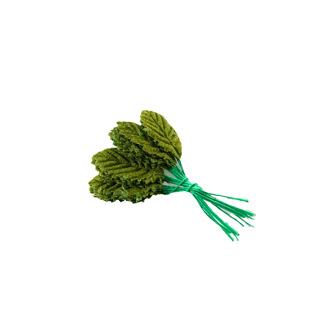 HOJA TERC. MOD. 100 C/100